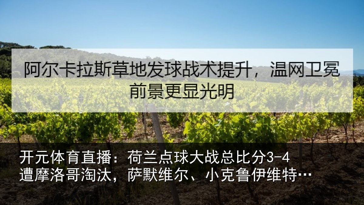 开元体育直播:荷兰相关情况摩洛相关情况克鲁伊维特丢点