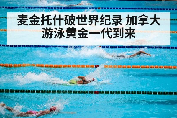 麦金托什破世界纪录 加拿大游泳黄金一代到来