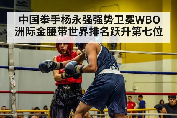 中国拳手杨永强强势卫冕WBO洲际金腰带世界排名跃升第七位