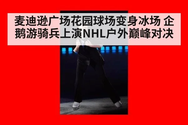 麦迪逊广场花园球场变身冰场 企鹅游骑兵上演NHL户外巅峰对决